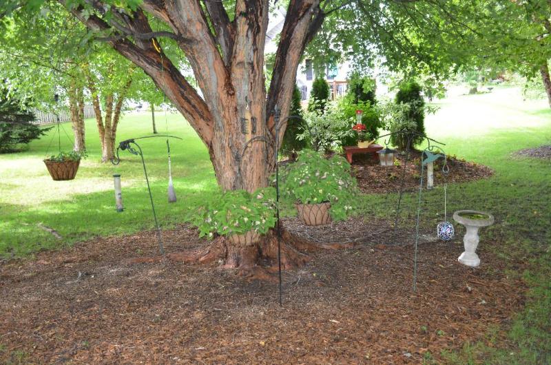 lot 66 image: Bird feeders & metal stands as pictured....
