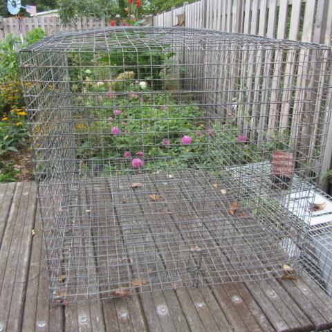 Wire Pet Cage