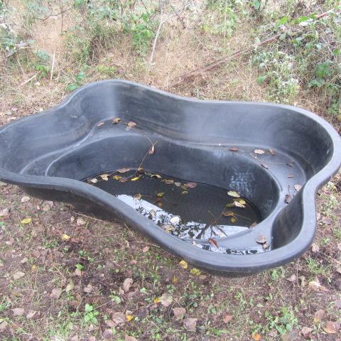 Garden Pond