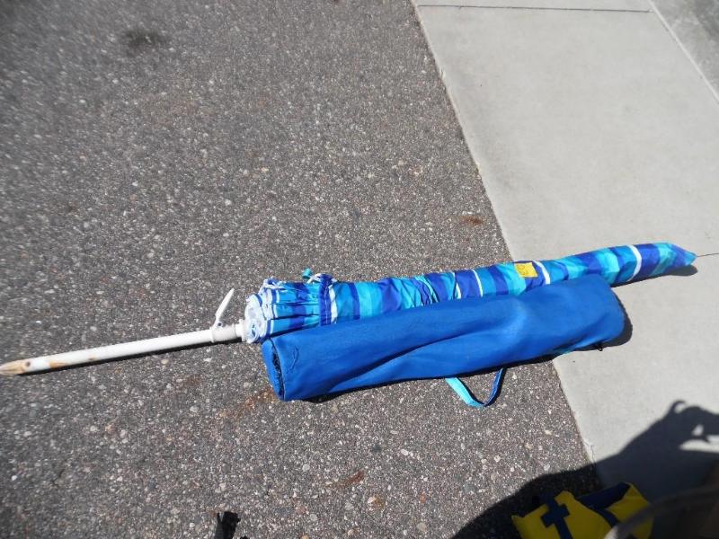 Beach Umbrella and Folding Chair