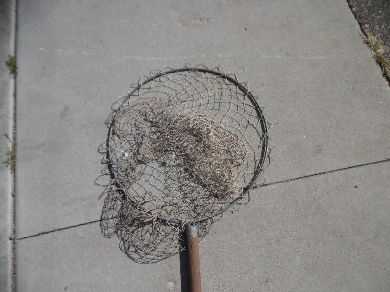 Fishing Net