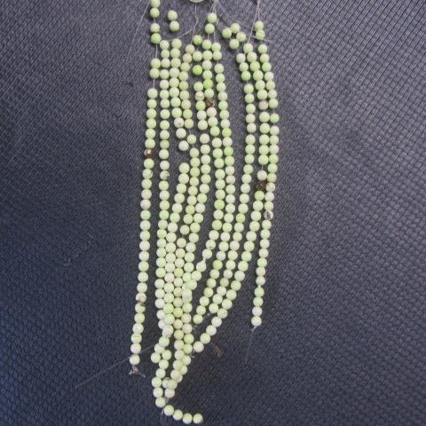 Green Chrysoprase
