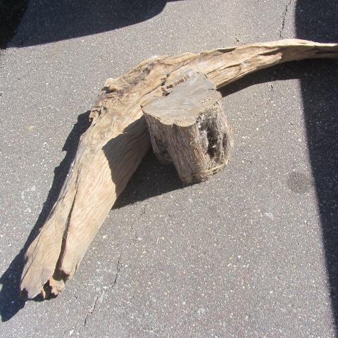 Large Piece Driftwood