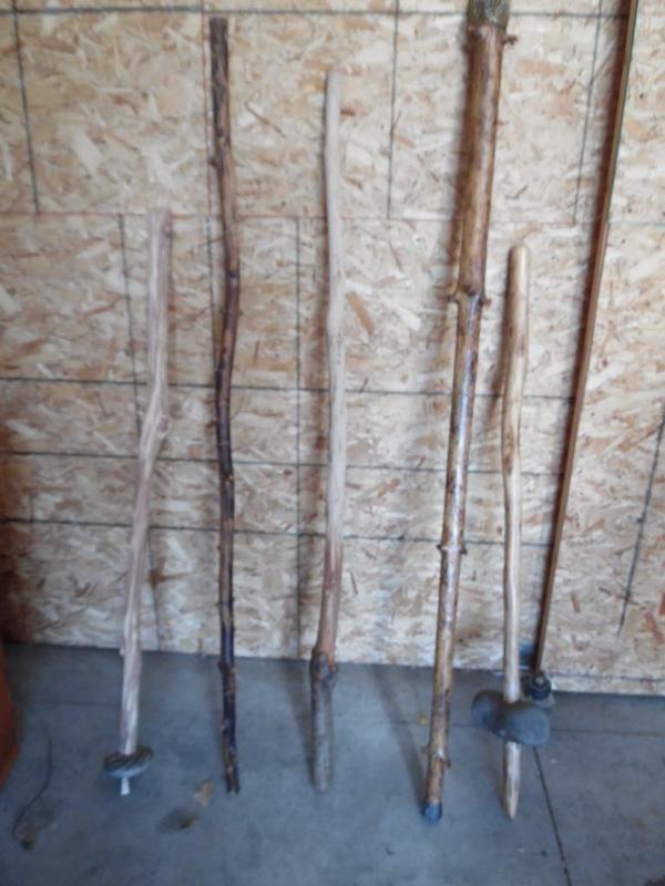 lot 35 image: Walking sticks