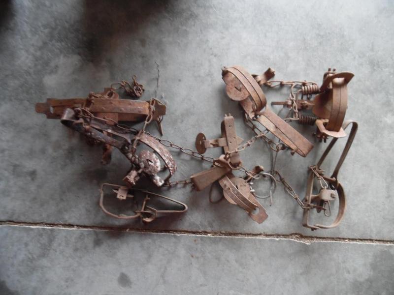 lot 22 image: Small animal traps