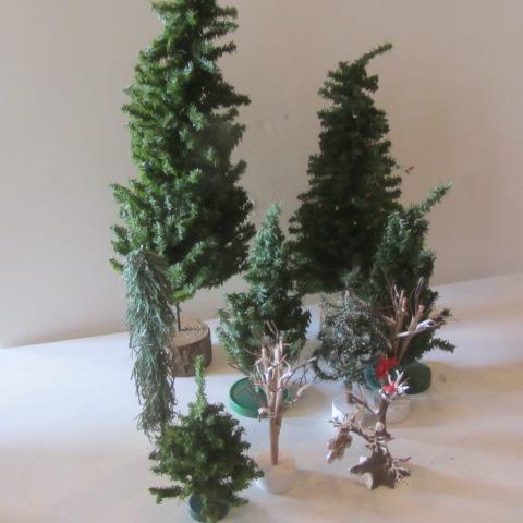Evergreens & Bare Branch Trees