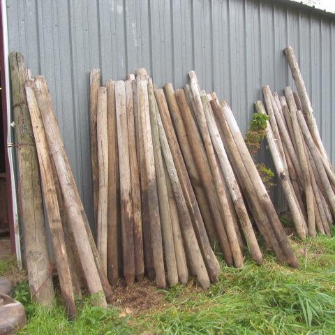 lot 124 image: Wooden Fence Posts