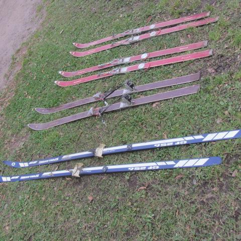 lot 189 image: Downhill & Cross Country Skis