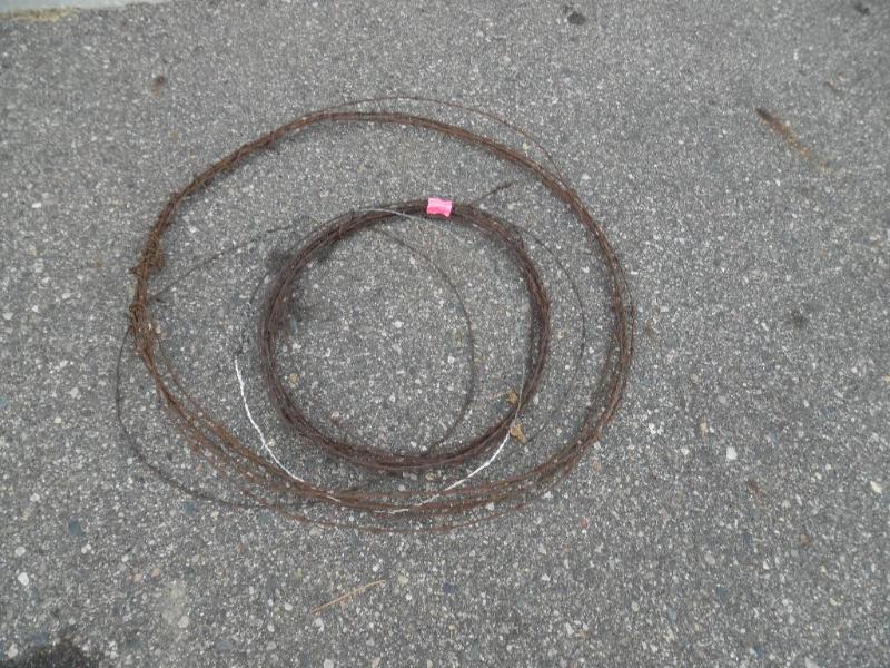 Barbed Wire
