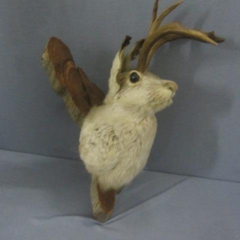 lot 258 image: Jackalope