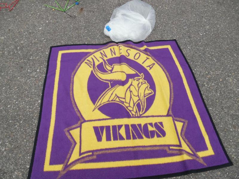 Vikings Blanket