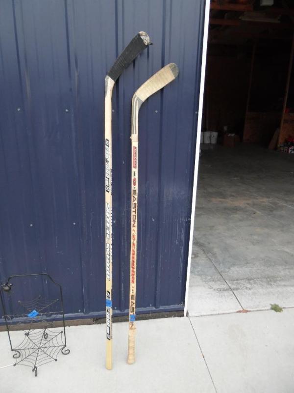 Hockey Sticks