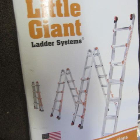 lot 1 image: Little Giant Ladder