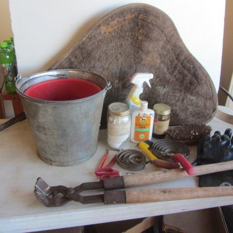 lot 218 image: Nipper, Curry Combs, Picks, Saddle Pad