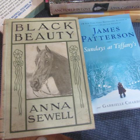 Lot 38 MARY HIGGINS CLARK and CAROL HIGGINS CLARK Paperback Books MYSTERY Lot 38 MARY HIGGINS CLARK and CAROL HIGGINS CLARK Paperback Books MYSTERY