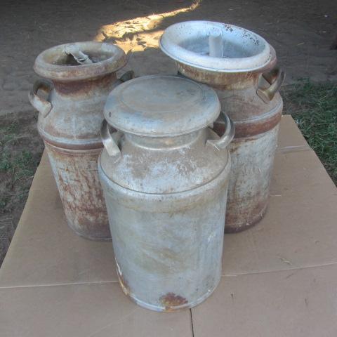 lot 488 image: Milk Cans