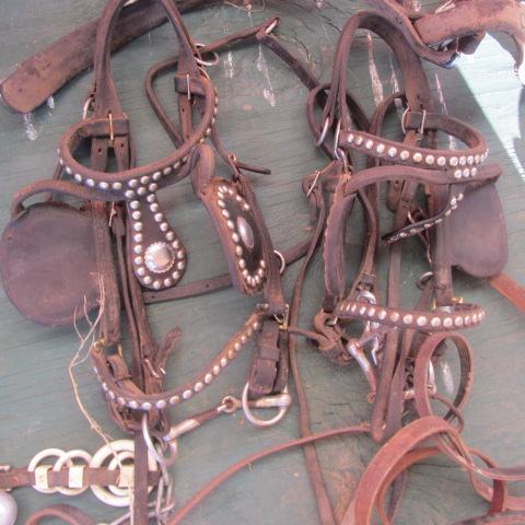 lot 491 image: Driving Harness for Team of Shetlands