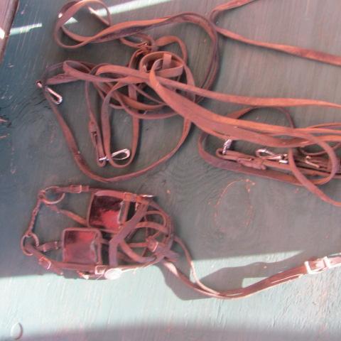 lot 493 image: Tack, Blinders, Halter, Bits