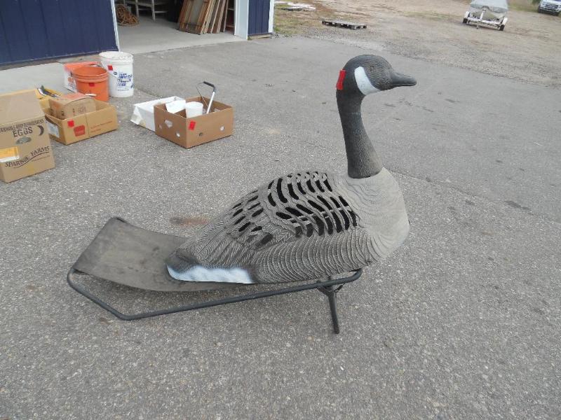 Decoy