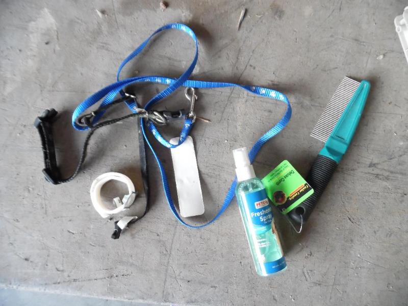 Small dog leash and supplies