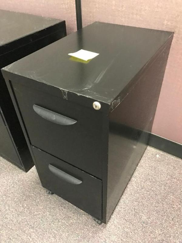 lot 101D image: 2-Door letter size file cabinet 15 x 23 x 2...
