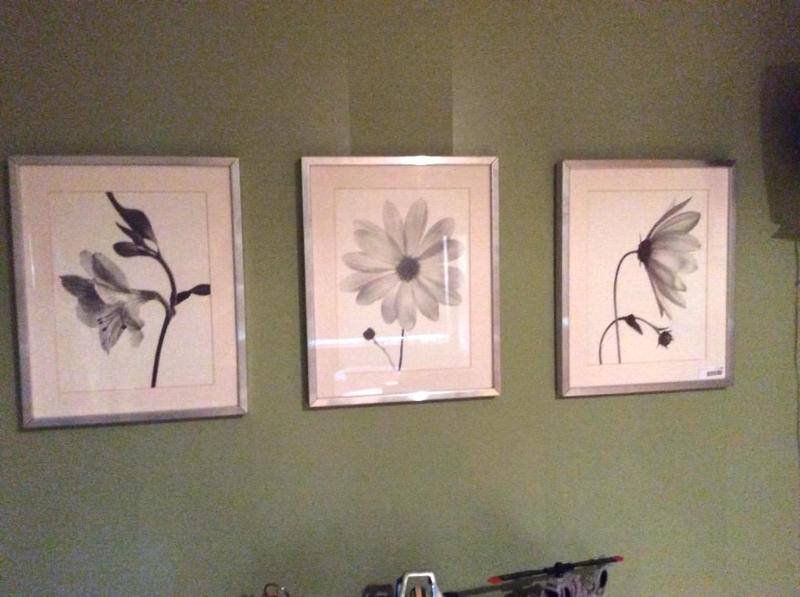 lot 39 image: 3 framed prints of flowers. Each approx 20.5...