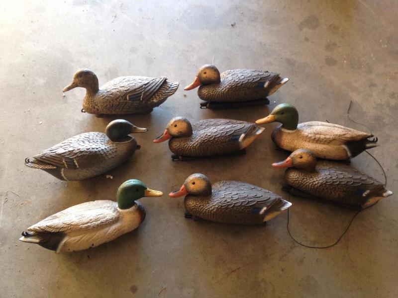 Duck decoys