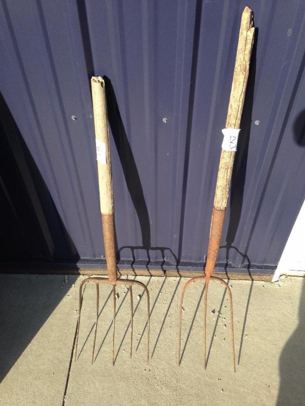 2 antique pitch forks
