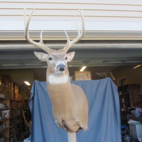 lot 121 image: Whitetail Post Mount