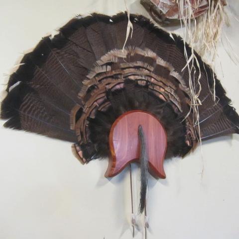 lot 41 image: Turkey Fan Mount