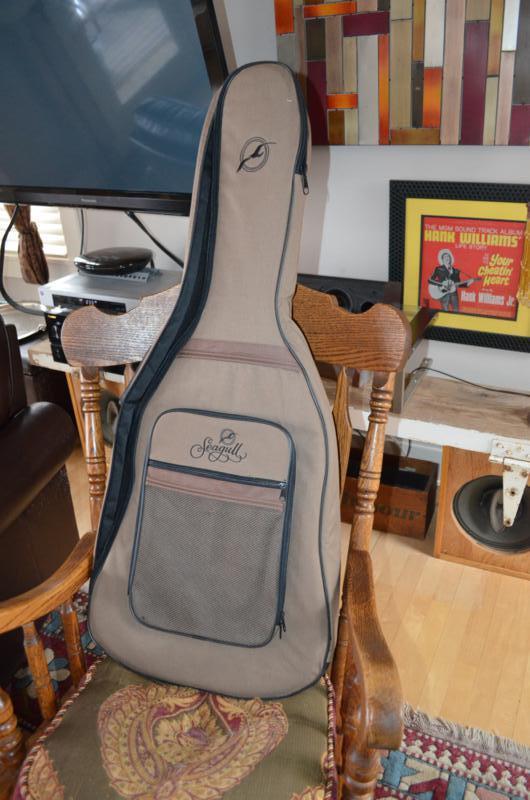Seagull guitar case...