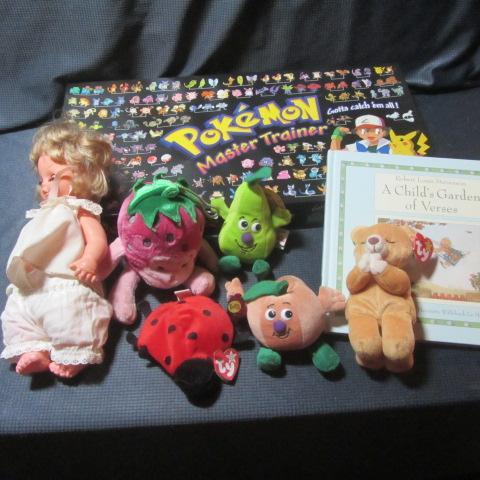Pokemon Master, Beanies, Book