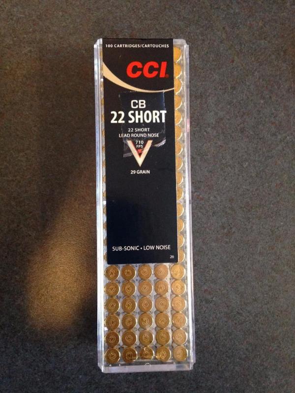 22 short, lead round nose ammo