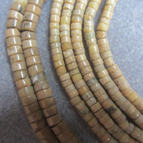 Fossil Coral