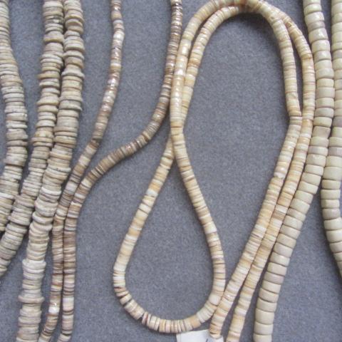 Fossil Coral
