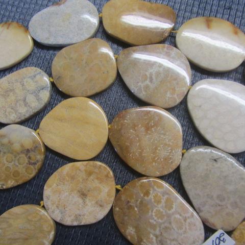 Yellow Coral
