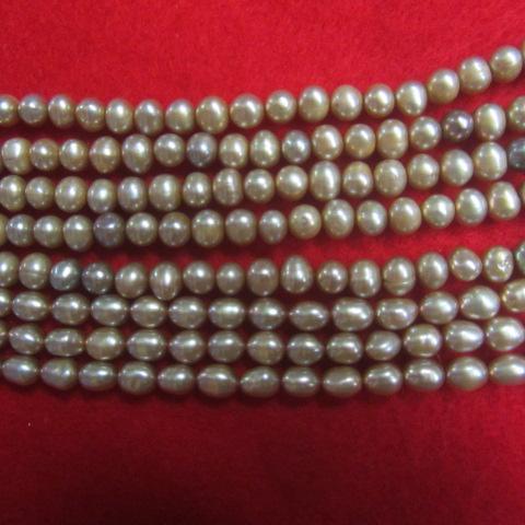 Champagne Fresh water Pearls