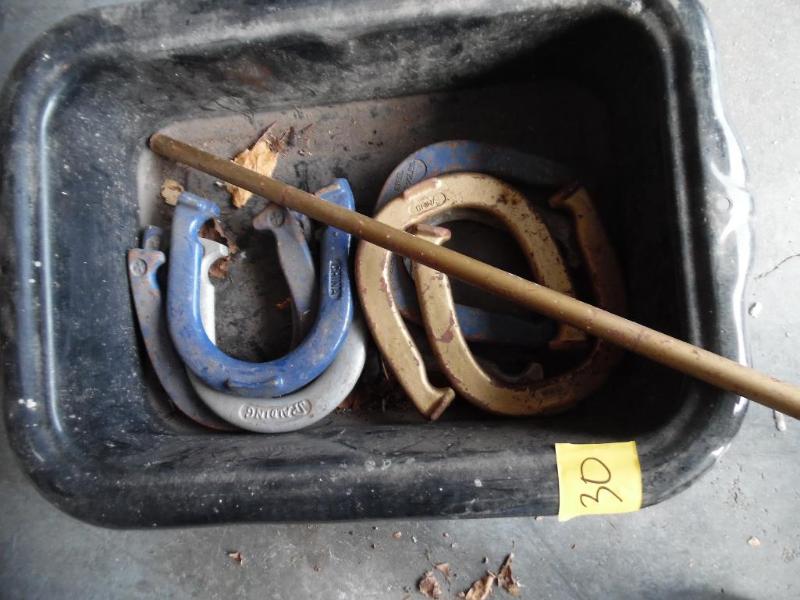 Horseshoes