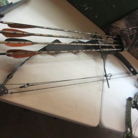 lot 156 image: Golden Eagle Compound Bow Package