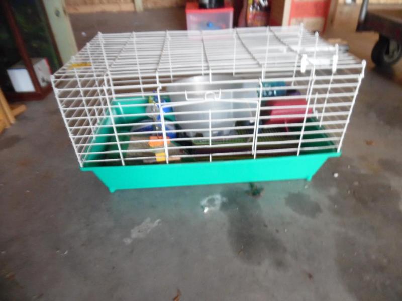 Guinea pig cage with accessories