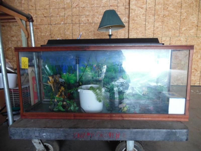 55 gallon aquarium