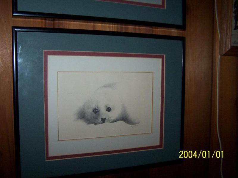 lot 55 image: Birds & Seal Pup Prints