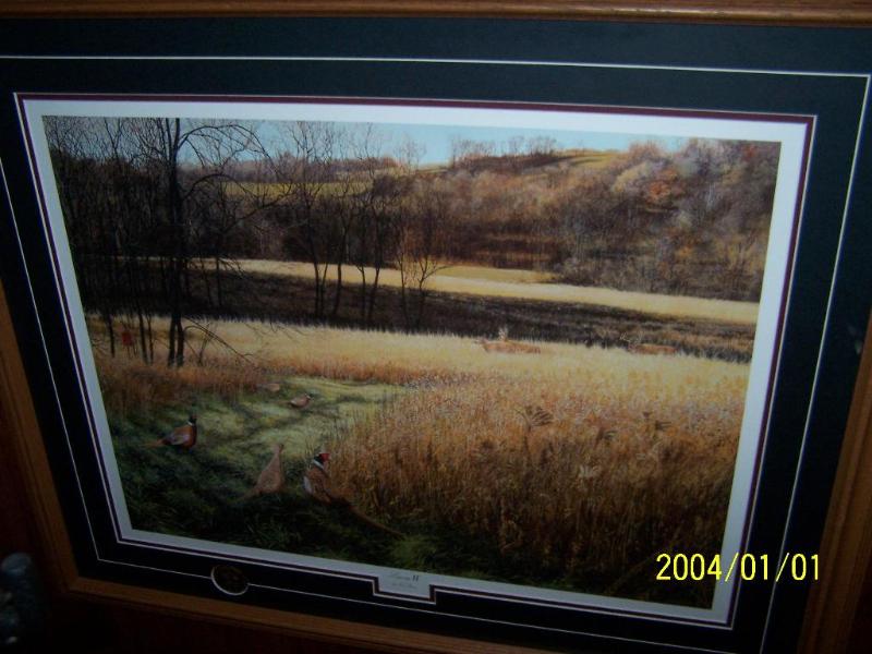 lot 57 image: Legacy II Pheasants - Storm