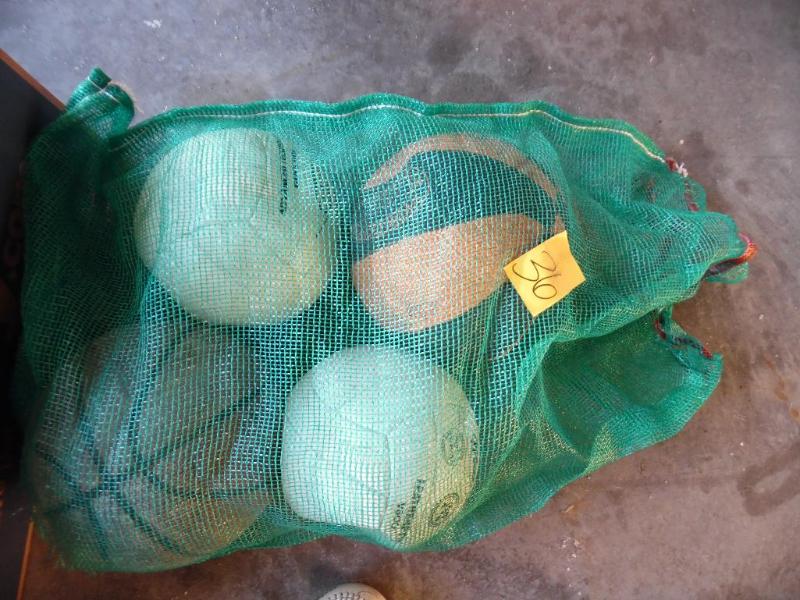 Sport Balls