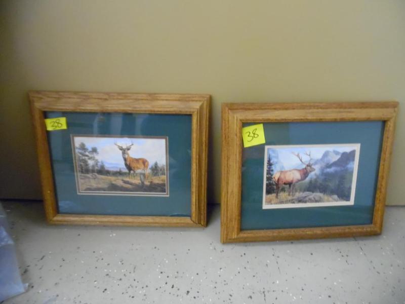Pictures