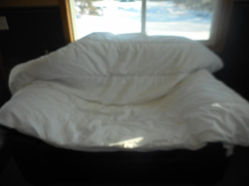 Twin Comforter