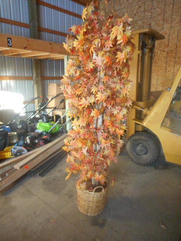 Fall Tree