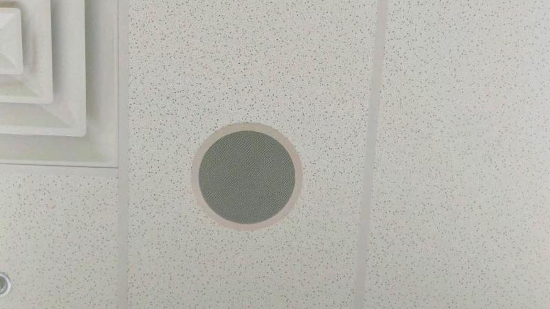 4 Commercial Ceiling Tile Speakers Bring You Whiteford