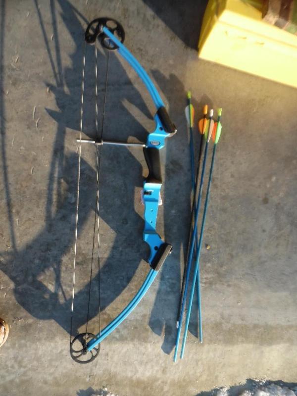 lot 10 image: Genesis Youth Compound Bow