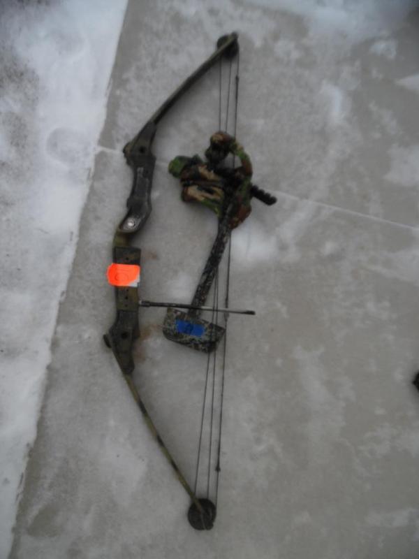 lot 10 image: Bear Compound Bow